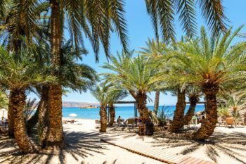 Der Palmenstrand Vai auf Kreta