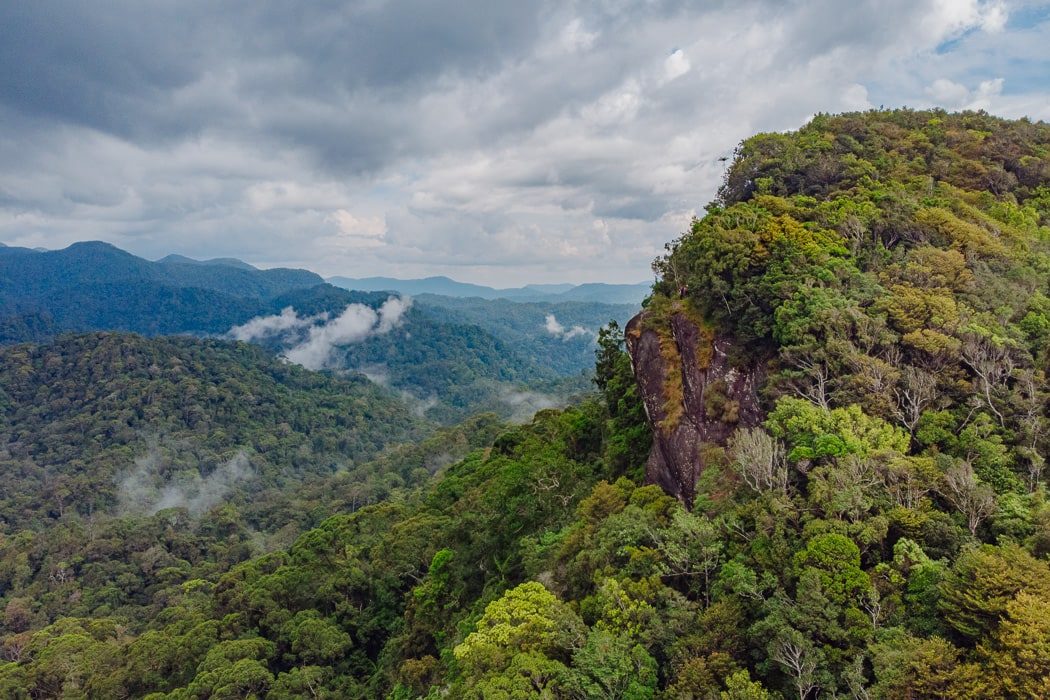 Blick auf den Regenwald vom Sinharaja Forest Reserve