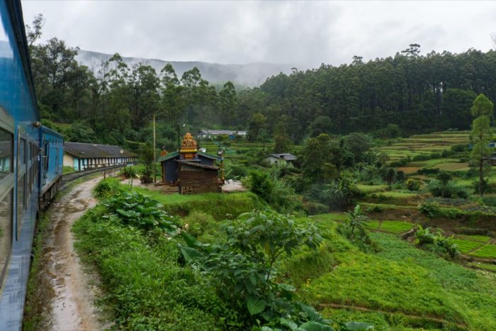 Zugfahrt Tempel Teeplantagen